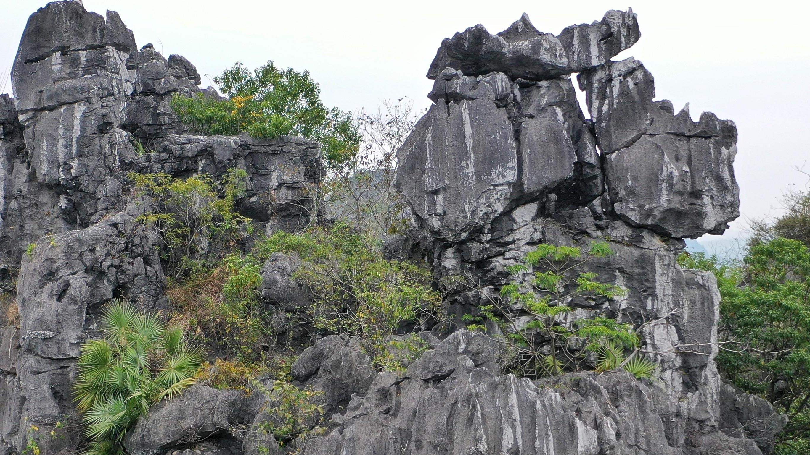 石林|广东小众景点：48元玩转南国小石林，打卡上帝的盆景