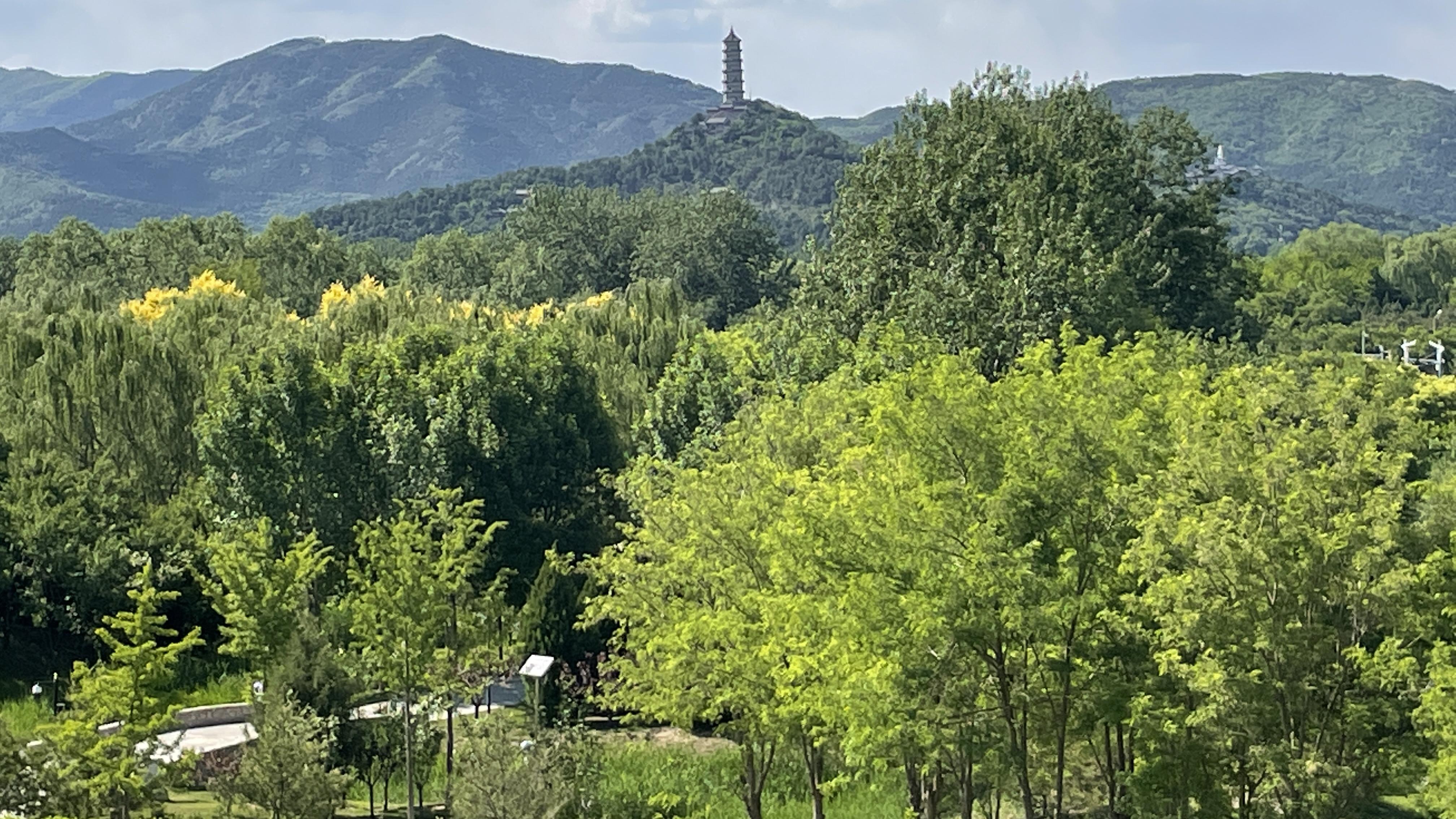 重庆|不早起看到的美景