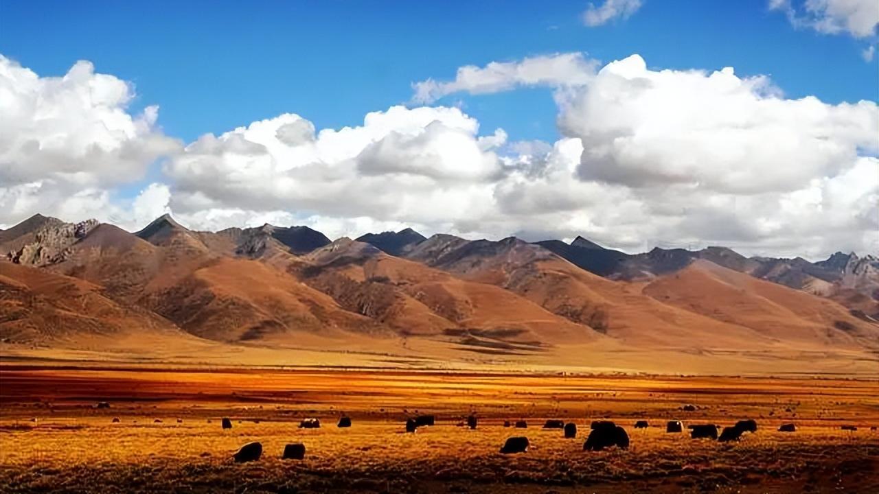 可可西里自然保护区|这个夏天，不去新疆、不去西藏！下一站：可可西里！