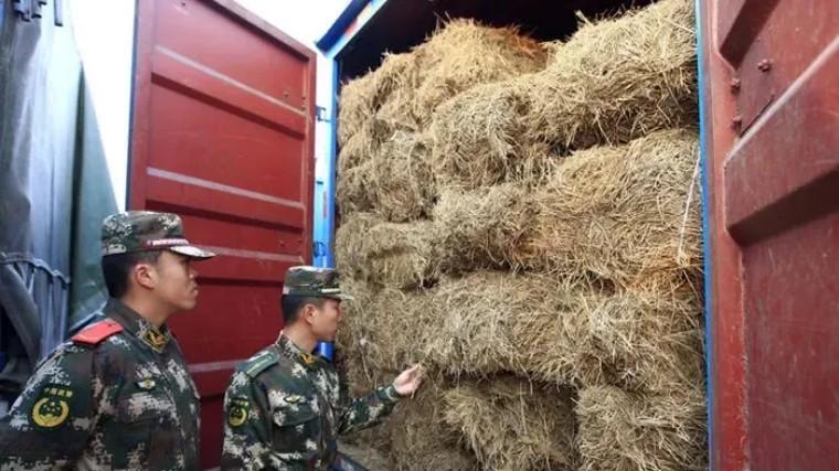 养鸡场光听鸡叫却从不见下蛋，村民迷惑不解，警察调查后引出大案