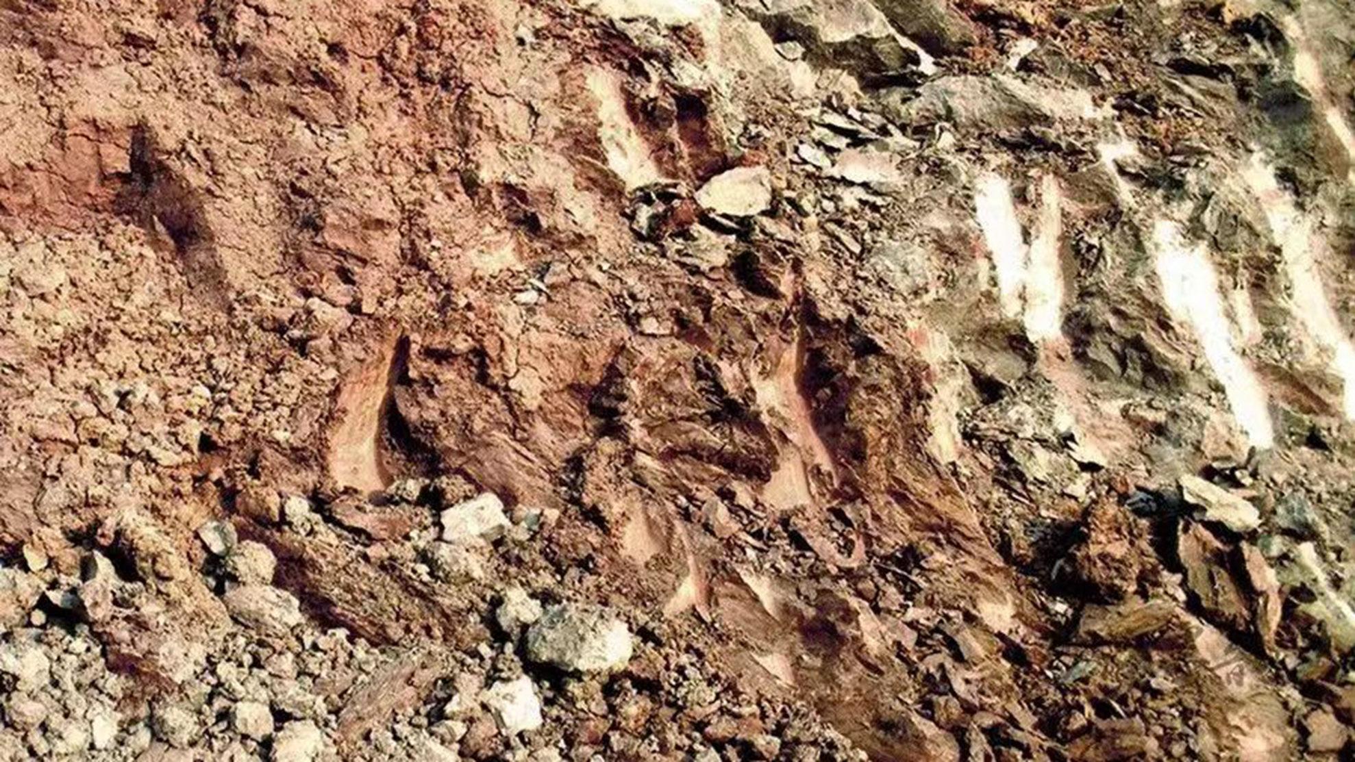 |紫砂壶泥料的种类、产地、辨别方法，你其实知之甚少、被坑许多！