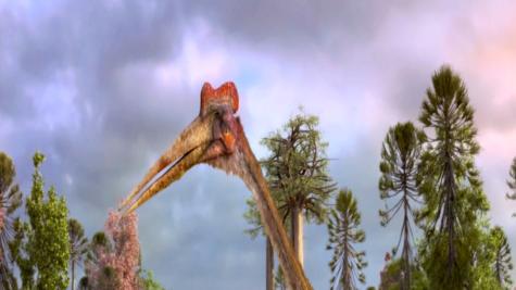 世界上最大的翼龙到底能长多大？
