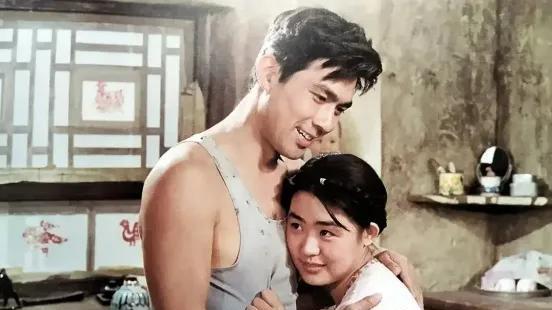 丛珊|因《牧马人》成名的丛珊，20岁火遍江南地北，如今过得怎么样