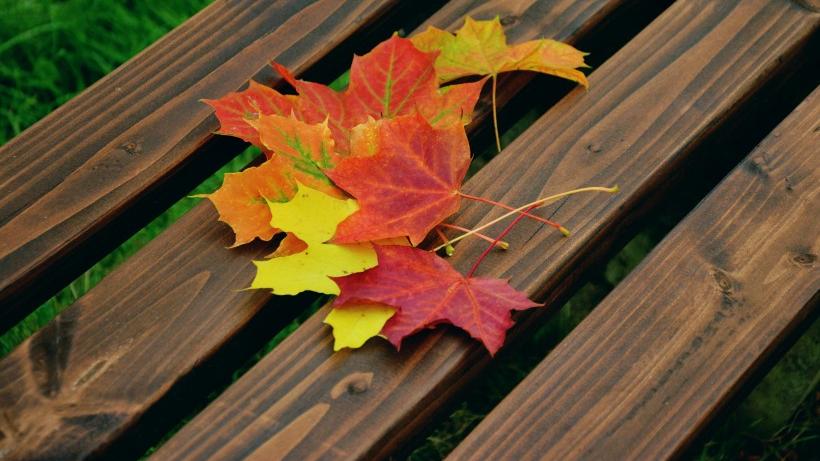 生肖|3个生肖福气足，财运旺，人生不平凡！