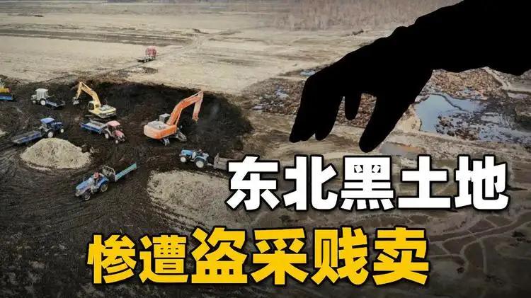 土中“熊猫”，4万年才形成的东北黑土地，为何有人5毛钱贱卖？