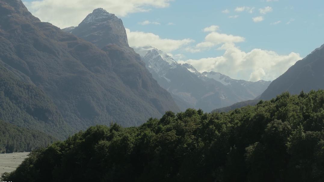寻找洞穴过冬的南极甲龙！