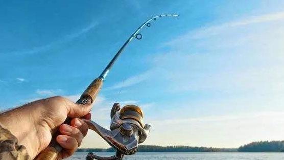 |罕见！男子海钓意外收获一个贝壳，得知身份后现场所有人欢呼不已