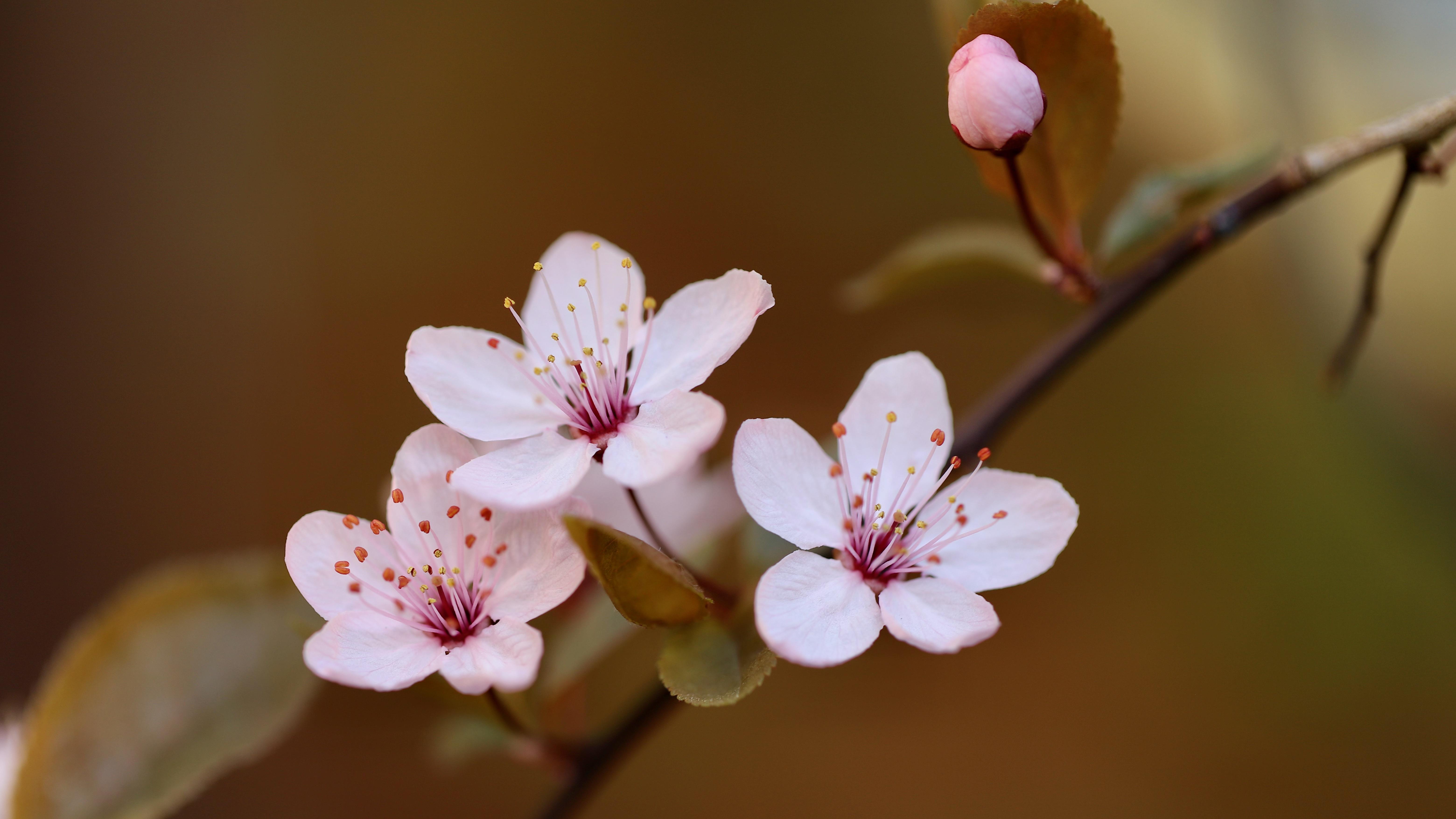 |领导都爱的，既能当材料讲、又能当工作方法的3句话