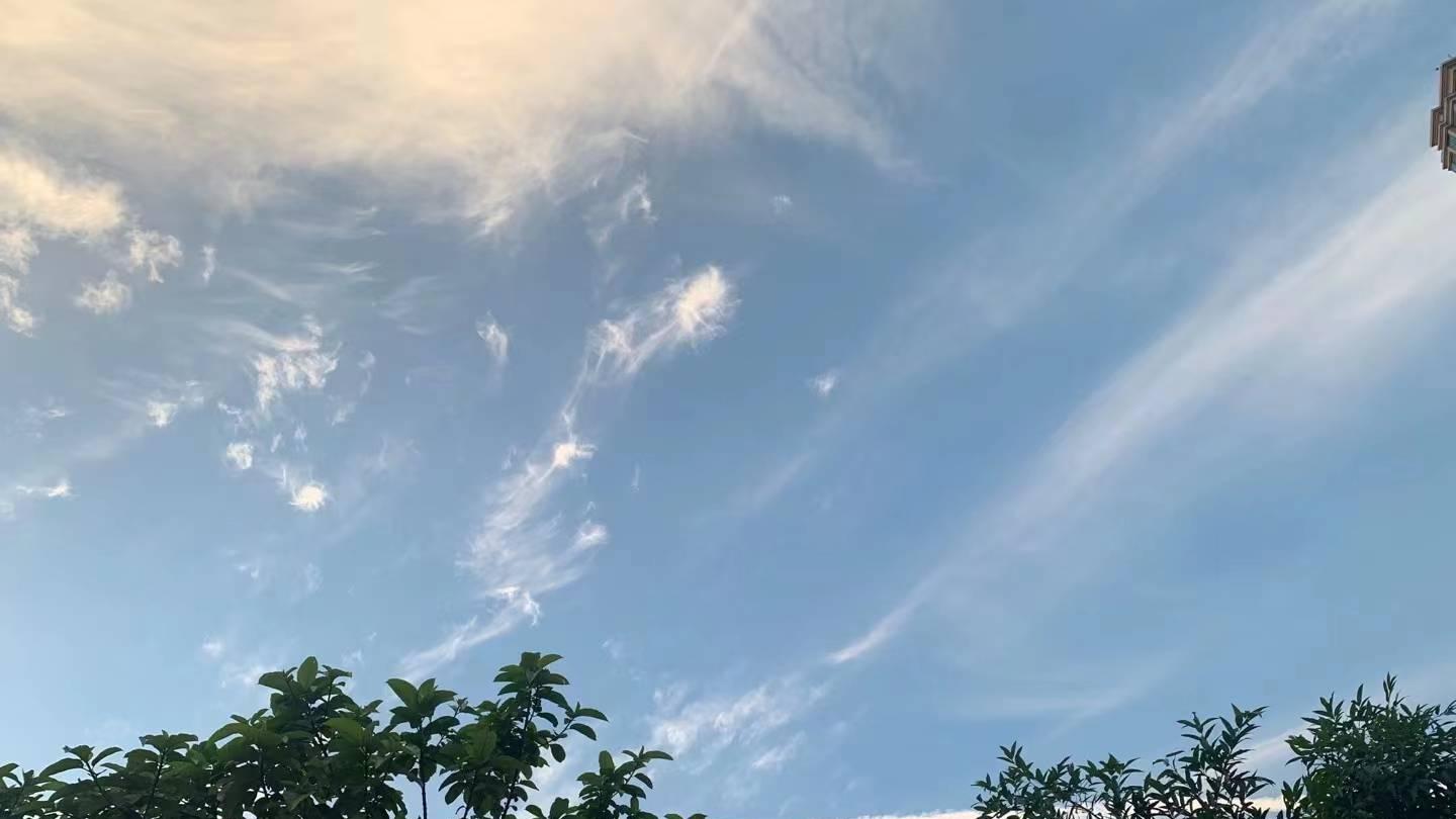 张朝阳|张朝阳建议年轻人不要过度努力：没有什么值得以命相拼