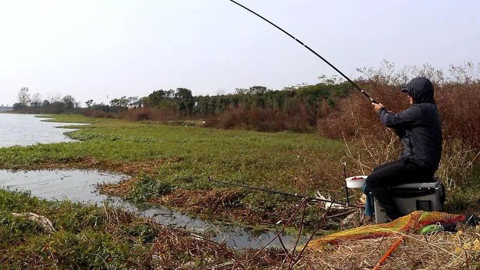 |“钓鱼不钓草，等于瞎白跑”，水草丛和草洞的4个钓鱼知识