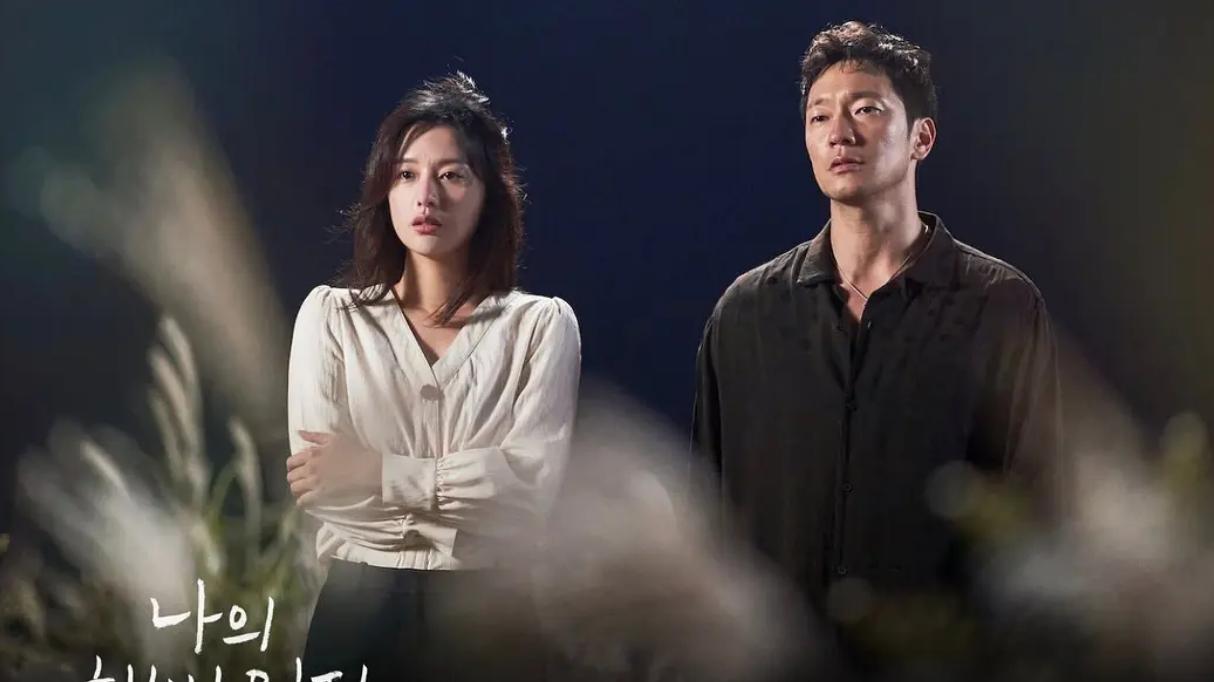 电视剧|电视剧《我的解放日志》，坚韧的活着吧！一切都会迎刃而解的