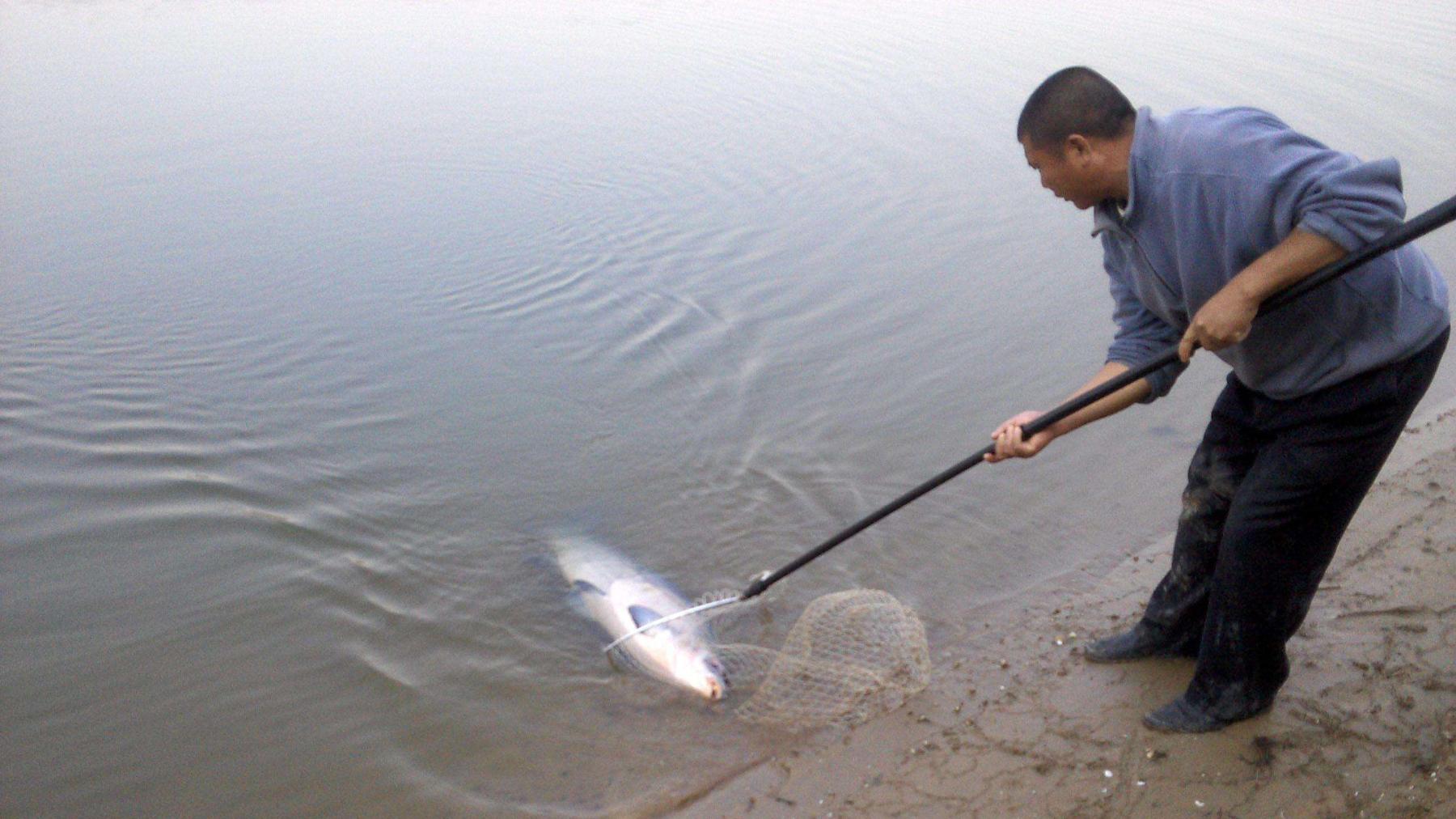|秋天真的是钓鱼的黄金季节？那要看钓哪种鱼，秋天钓鱼的规律
