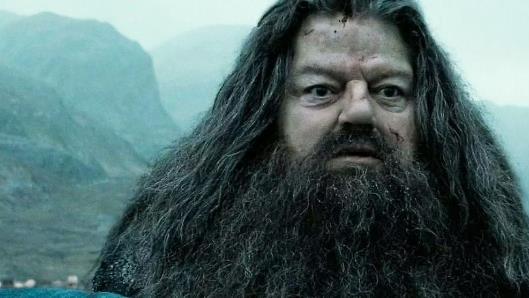 哈利·波特|海格演员去世后，《哈利·波特》主演潸然泪下，发表感人声明