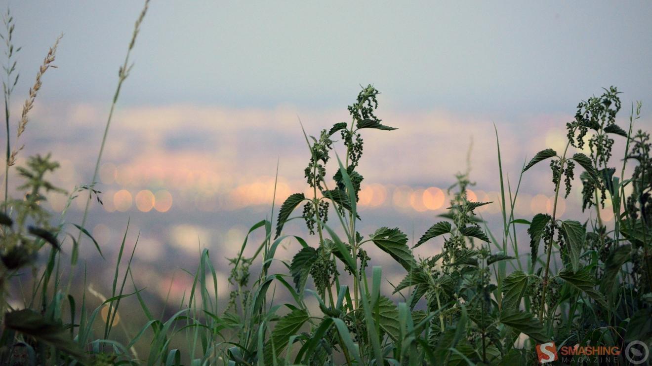 |人际交往，如何与优秀领导打交道？