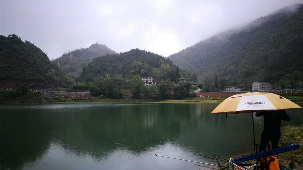 霜降|霜降过后野钓，记住5钓5不钓，技巧跟着节气走，渔获更有保证