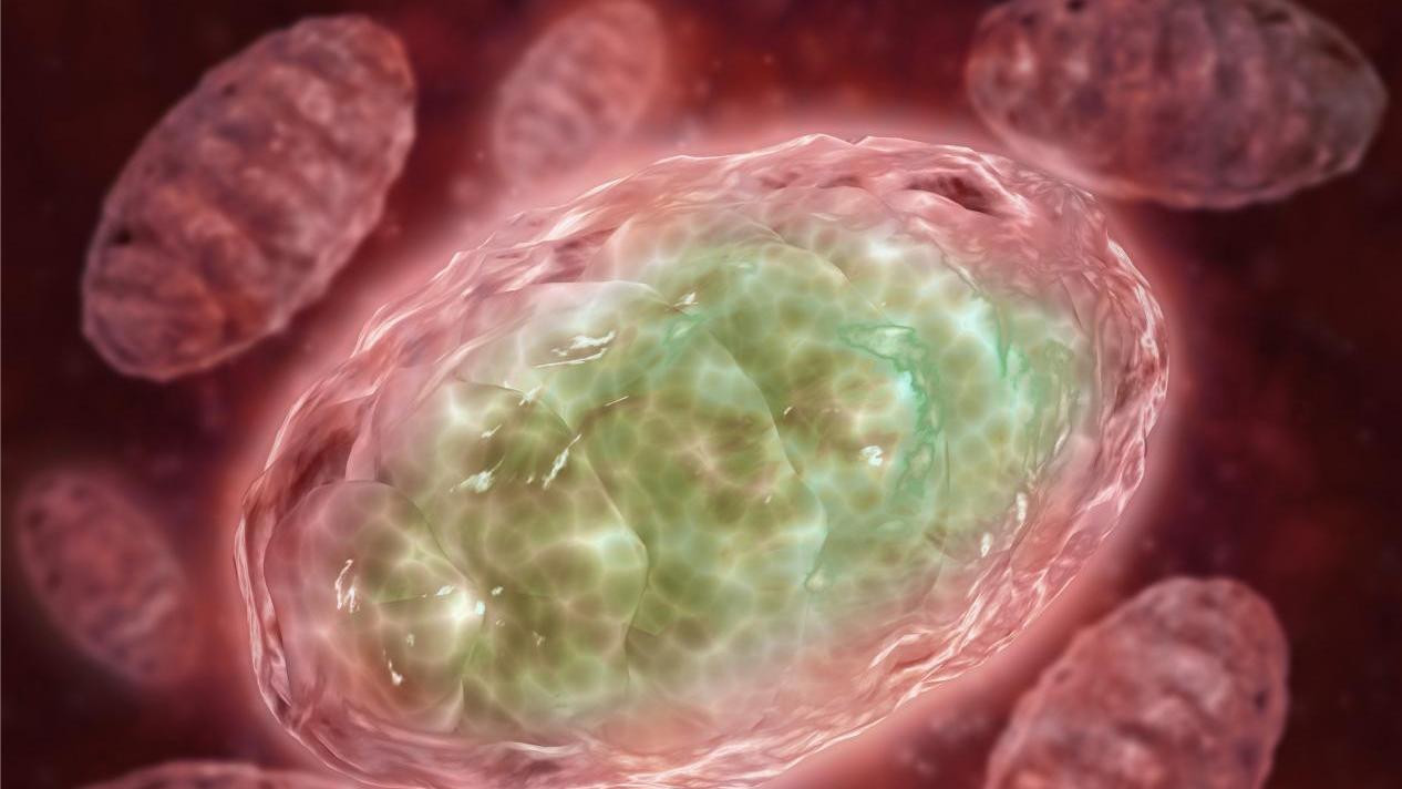 【宜善医学】酵解——癌细胞的生物能量学特征