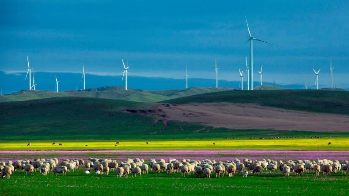 内蒙古|在内蒙古人家借宿，这条床铺上的红色绳子男性别乱碰