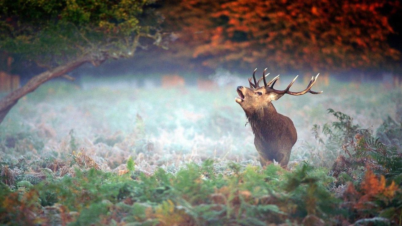 |职场人只怕两种人，第一种只怕心里有鬼，第二种只怕没良心的人