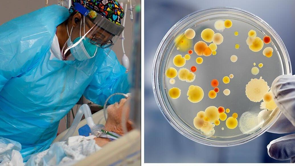 西藏冰川正在融化，近1000种远古微生物，或将解除“封印”！