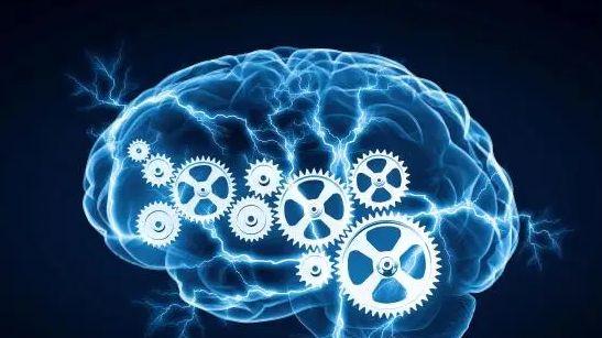 深度学习|组装足够的高质量数据，所需要的时间通常比编写深度学习解决方案还要多