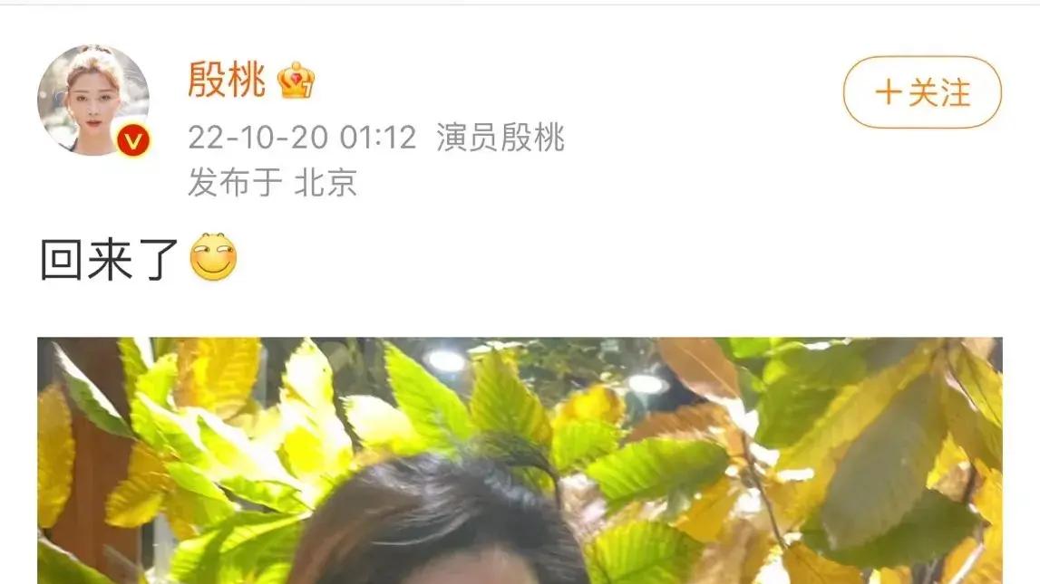 殷桃|殷桃深夜发文！