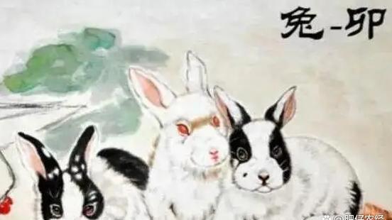 明年癸卯兔年，也被称为黑兔年，有何说法？好不好？一起了解下