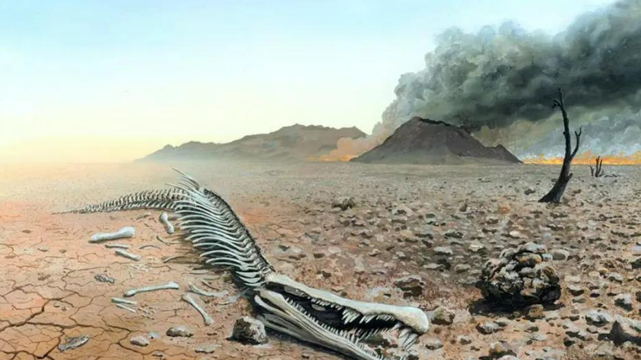 地球怎么了？已宣灭绝物种却频频重现，地球环境或在变好？