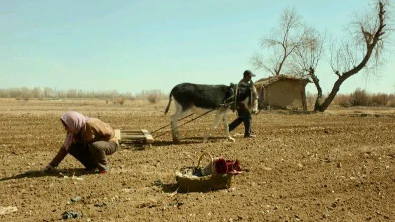 隐入尘烟|《隐入尘烟》票房“反击”，9月3日突破7000万，男主角是农民