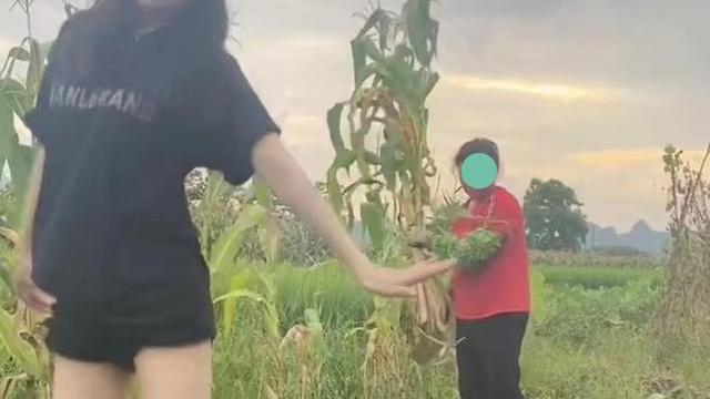 女子在母亲面前跳舞被母亲拿玉米杆追打：依依妖妖，一点都不正经