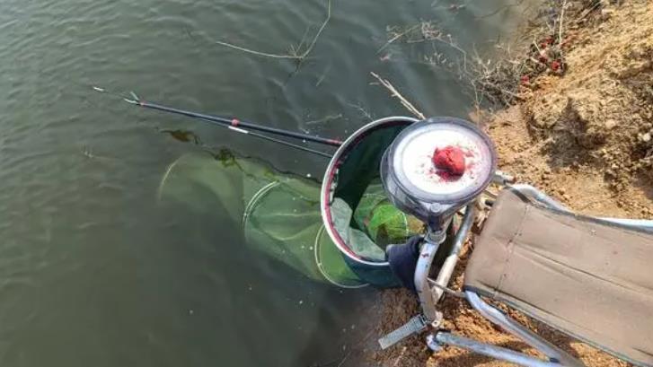 大板鲫|天天钓小鱼不过瘾？学会这两招，大板鲫手到擒来