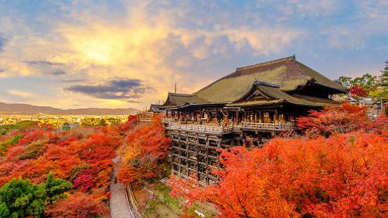 |中年才懂的醍醐味，来趟京都的知性之旅吧