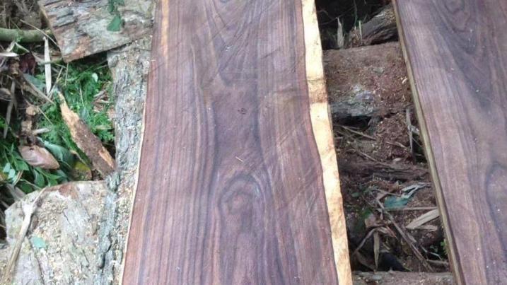 紫檀|红木家具中的“劳斯莱斯”“法拉利”原来是......