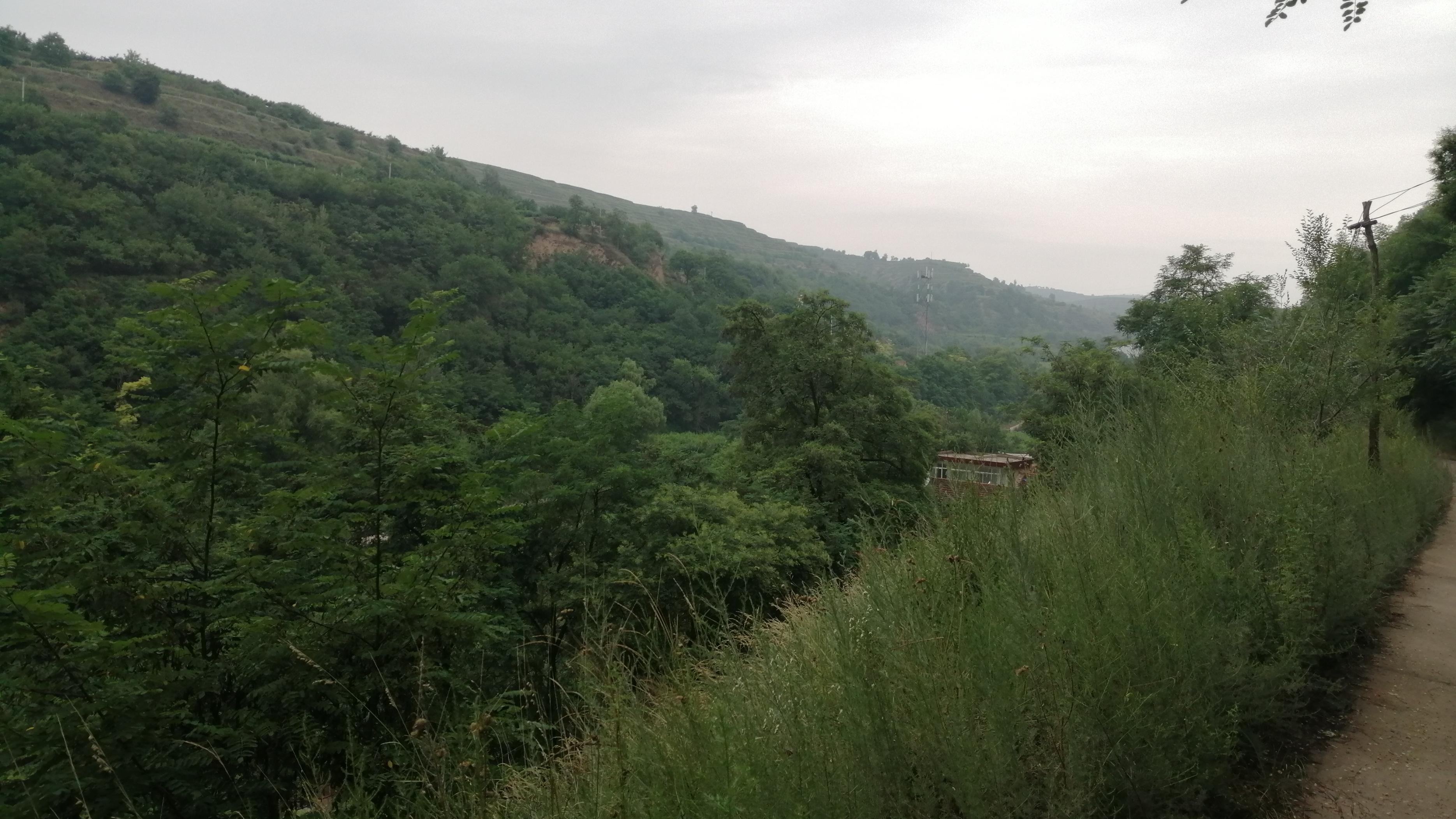 雨后的乡村空气清新绿意盎然