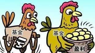 基金早餐：9月24日基金净值排名及选基策略分析