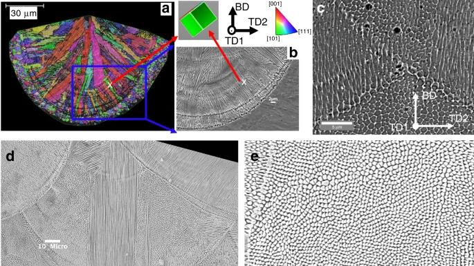 Nature子刊：侧分支在激光粉末床熔合显微组织形成中的作用