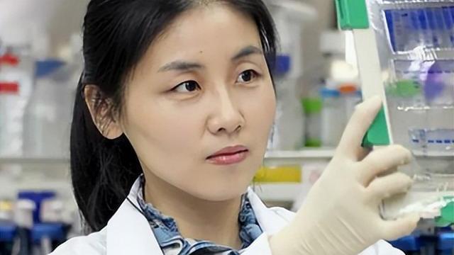 芯片|人才大量外流？美国芯片专家都是华人？小镇做题家的话一针见血