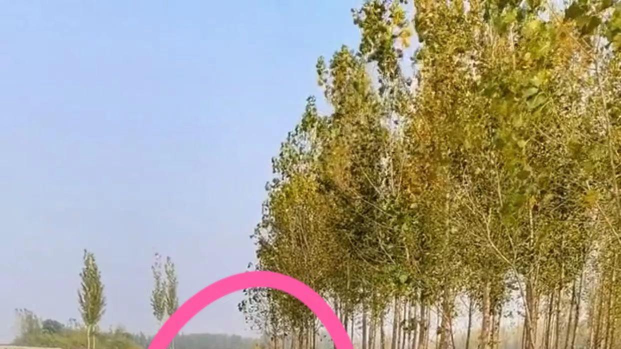 妈妈下班回家，路遇公婆带娃，画面温暖，网友：就是有点废爷爷