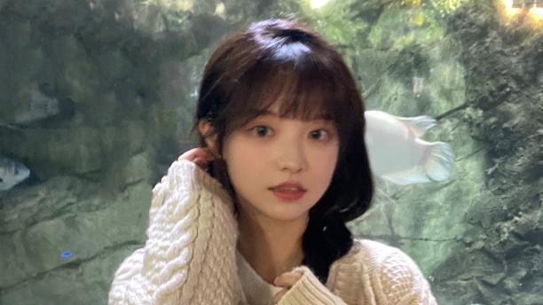 张楚寒|张楚寒太可爱了，扎麻花辫、穿麻花毛衣，就像一只乖巧的小兔子