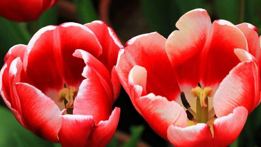 金牛座|十二月期间，哪3个星座能突破自我，收获进步，步步都顺利?