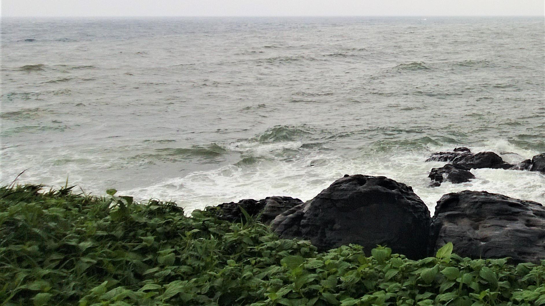 少年派第二季|低迷世道下，彳亍职场人