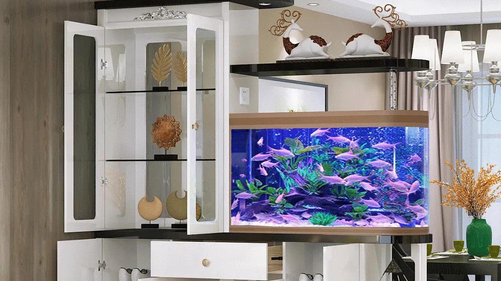 龙吟师傅：在餐厅放置酒柜时，可以选择什么类型及需要注意些什么