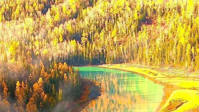 喀纳斯|据说是我国拥有“最美秋色”的景区，犹如神的后花园、人间仙境