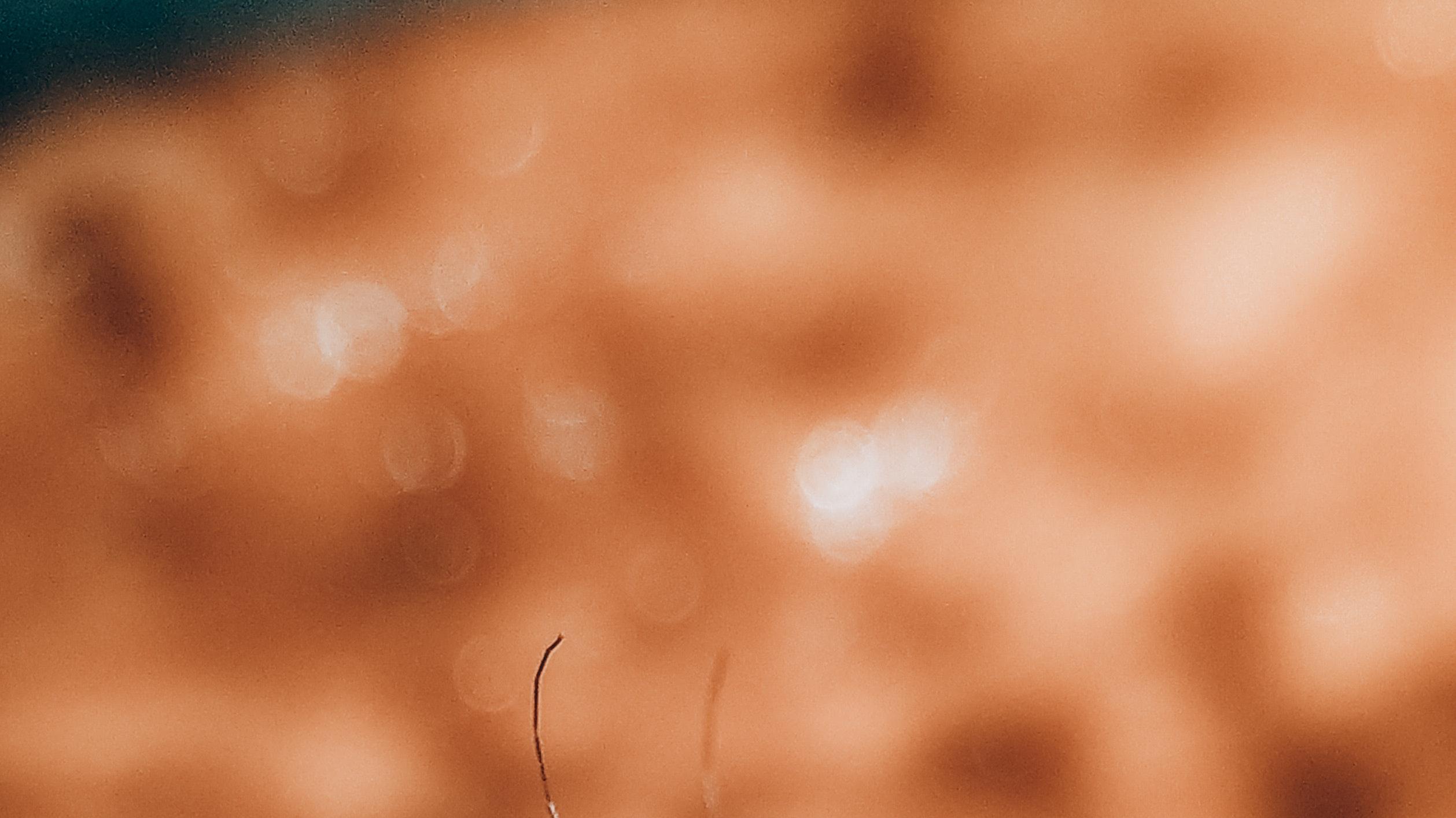 关于蚊子，你对它了解多少？5个关于蚊子的冷知识，太有趣了