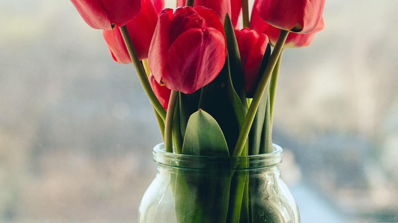 金牛座|今后2周，四大星座三大生肖真情回暖，职场上遇贵人点拨，发财机会增加