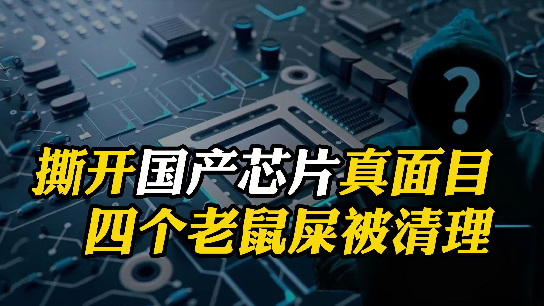 芯片|国产芯片发展不起来，拜这4位所赐！花光几千亿到底干了啥？