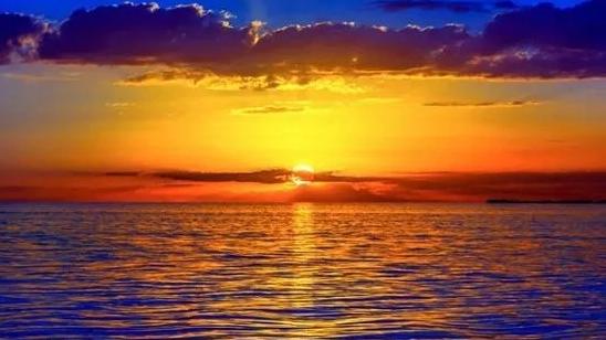 自由职业者|迟早必做自由职业者的生肖