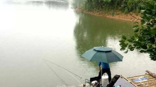 饵料|盛夏野钓，找寻规律作钓更轻松，记住“4钓4不钓”，渔获有保证