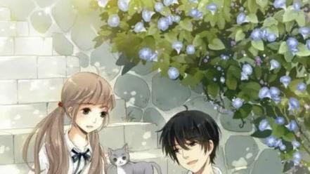 沈凌|前任女配极限拉扯挽回, 男主追回进行时～