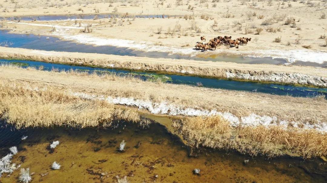 准噶尔盆地|准噶尔盆地里有沙漠，为何说北疆不怎么缺水？