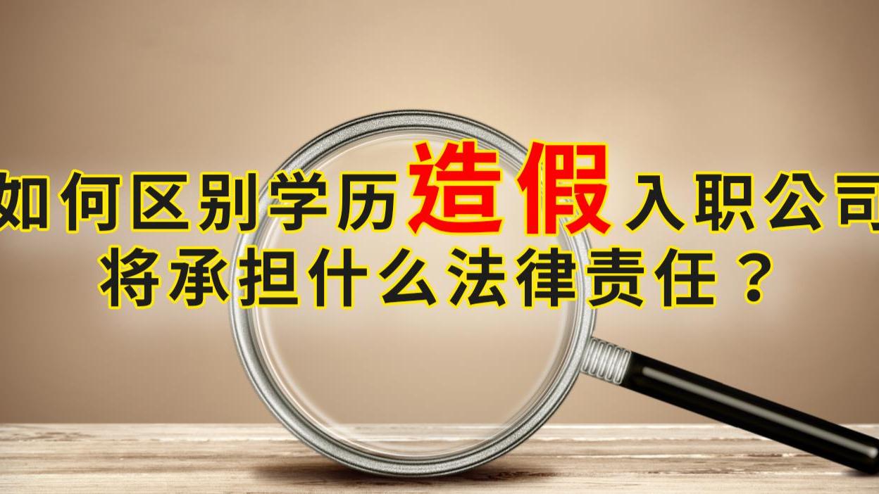 大学|学历造假入职公司，将承担什么法律责任？